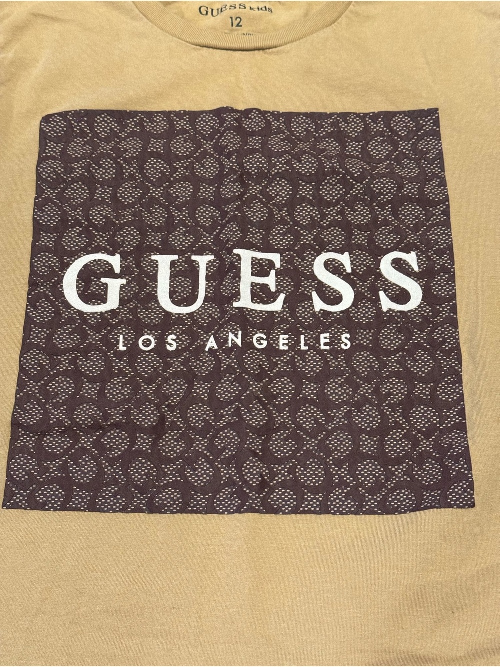 GUESS Boys Short Sleeve Tee in Tan with Dark Brown Graphic